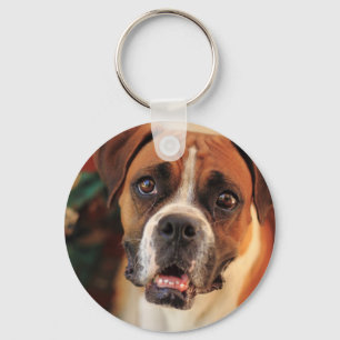 Chaveiro Boxer Fofo