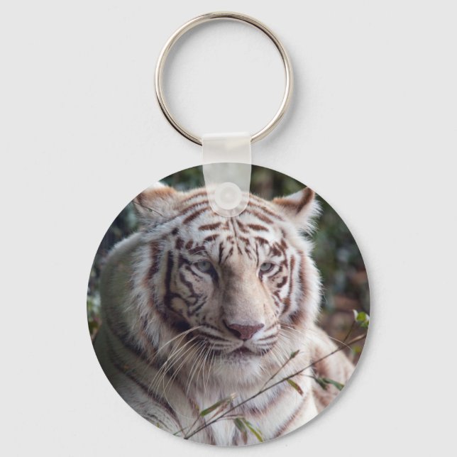 Chaveiro Branca Bengal Tiger (Frente)