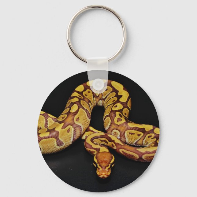 Chaveiro Brown e Dourado Ball Python (Frente)