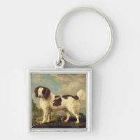 Brown e Spaniel branco de Norfolk ou de água, 1778