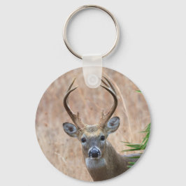 Chaveiro Buck de cauda branca