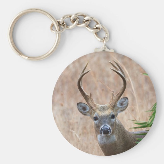 Chaveiro Buck de cauda branca (Frente)