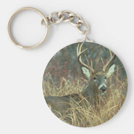Chaveiro Buck no Grass