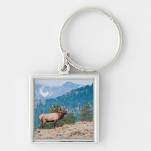 Chaveiro Bugio de Touro de Alce (Cervus Elephus)