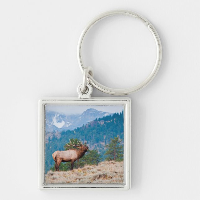 Chaveiro Bugio de Touro de Alce (Cervus Elephus) (Frente)