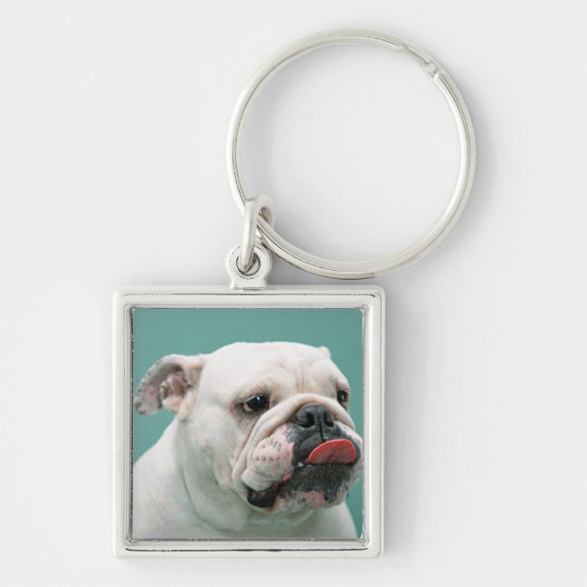 Chaveiro Buldogue (Frente)