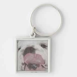 Chaveiro Buldogue 2