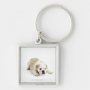 Chaveiro Buldogue branco e tan