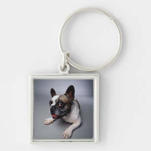 Chaveiro Buldogue francês