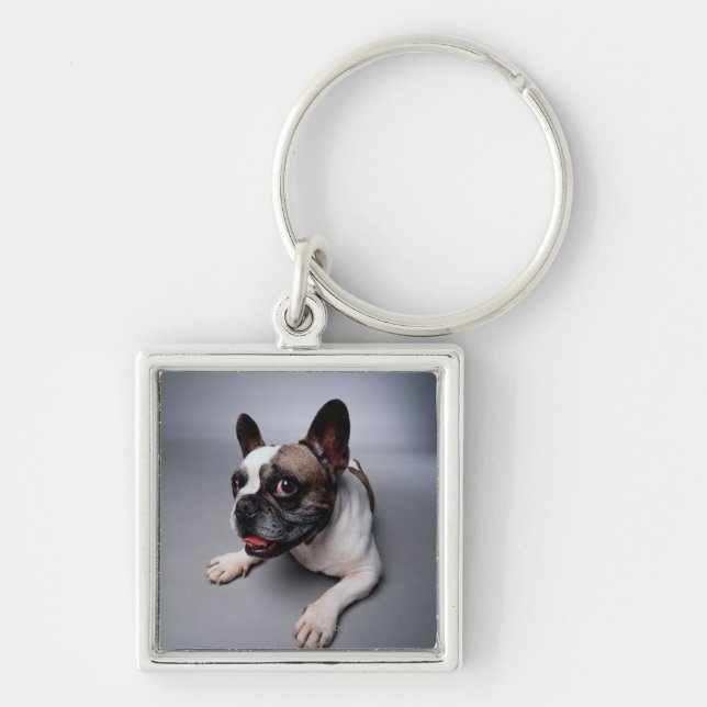 Chaveiro Buldogue francês (Frente)