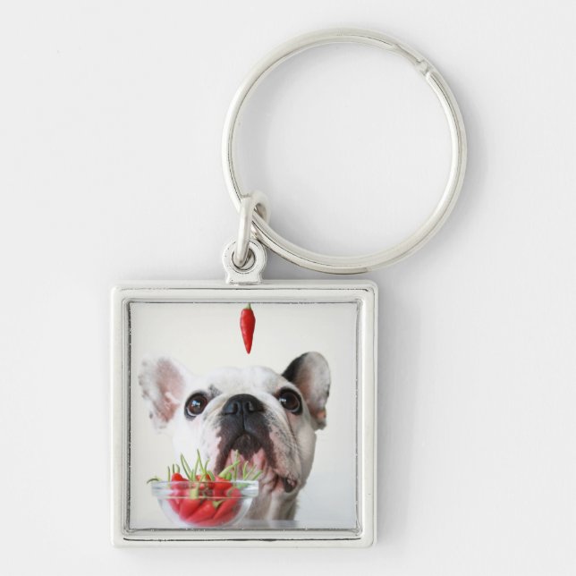Chaveiro Buldogue francês que olha uma pimenta vermelha (Frente)