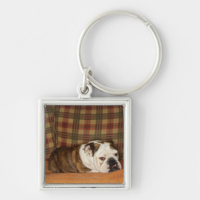 Chaveiro buldogue que encontra-se em um sofá (Frente)