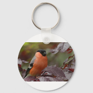 Chaveiro Bull Finch