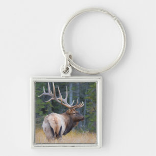 Chaveiro Bull Rocky Mountain Elk