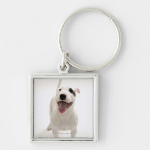 Chaveiro Bull terrier alegre