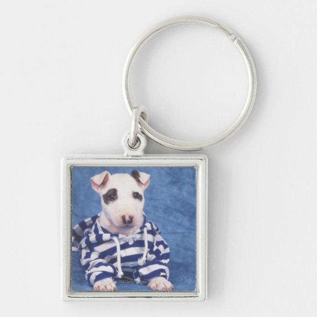 Chaveiro Bull terrier é uma raça do cão no (Frente)