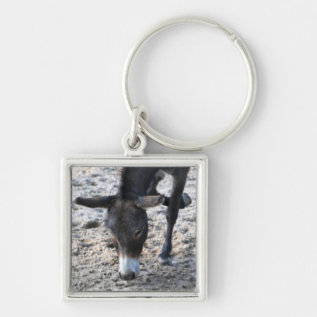 Chaveiro Burro (Frente)