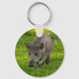 Chaveiro busca do javali para o amor