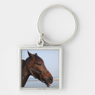 Chaveiro Cabeça de cavalo de Brown