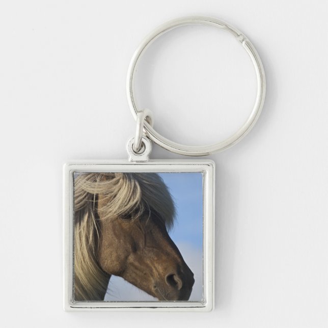 Chaveiro Cabeça de cavalo islandês, Islândia (Frente)