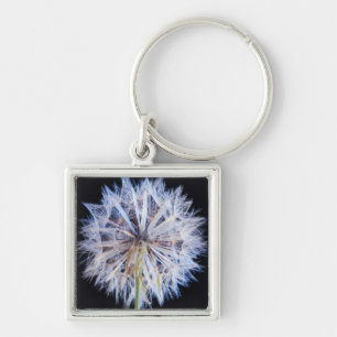 Chaveiro Cabeça de Semente de Dente-de-Leão (Taraxacum Offi
