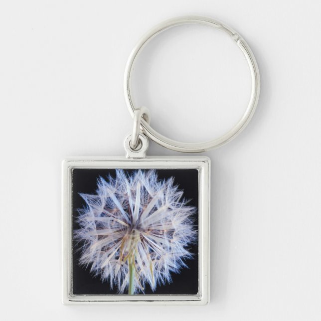 Chaveiro Cabeça de Semente de Dente-de-Leão (Taraxacum Offi (Frente)