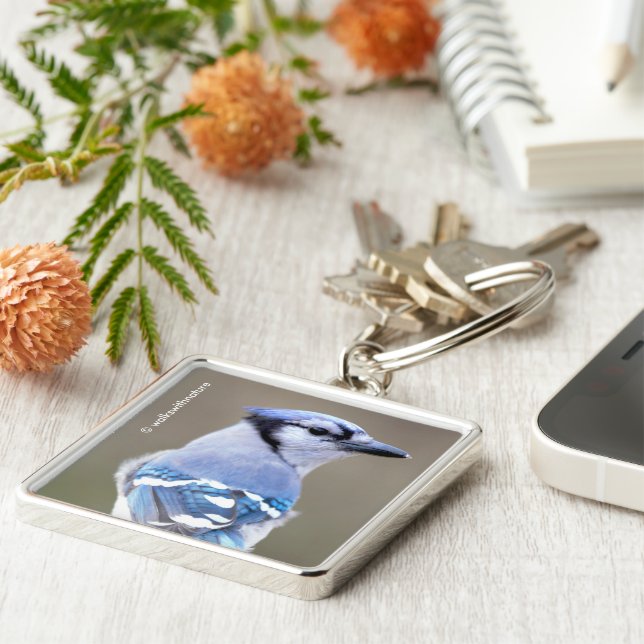 Chaveiro Caçador de Jay Azul-Cinto no Treestump (Lateral)