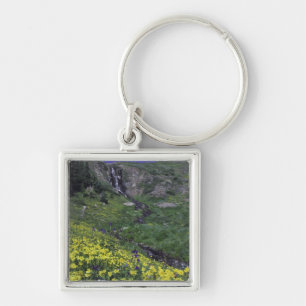 Chaveiro Cachoeira e flores silvestres em prado alpino,