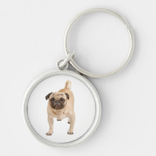 Chaveiro Cachorrinho Pug Amor Canino Cão