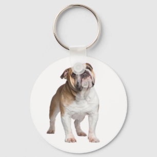 Chaveiro Cachorro Cachorro Bonito Dão-me Bolinho Inglês