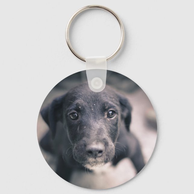 Chaveiro Cachorro-Cachorro Super Bonito (Frente)