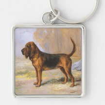Cachorro de Caça