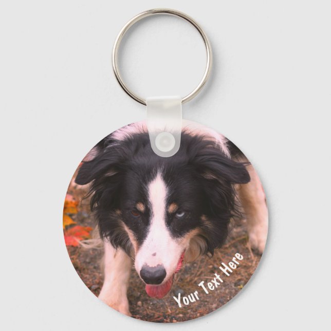 Chaveiro Cachorro de Collie de Borda Personalizado (Frente)