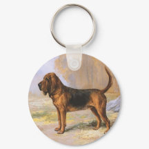 Cachorro de Sangue
