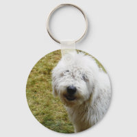 Cachorro do Dia do Cabelo Mau Fluffy Frizzy