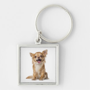 Chaveiro Cachorro Filhote Chihuahua Amor