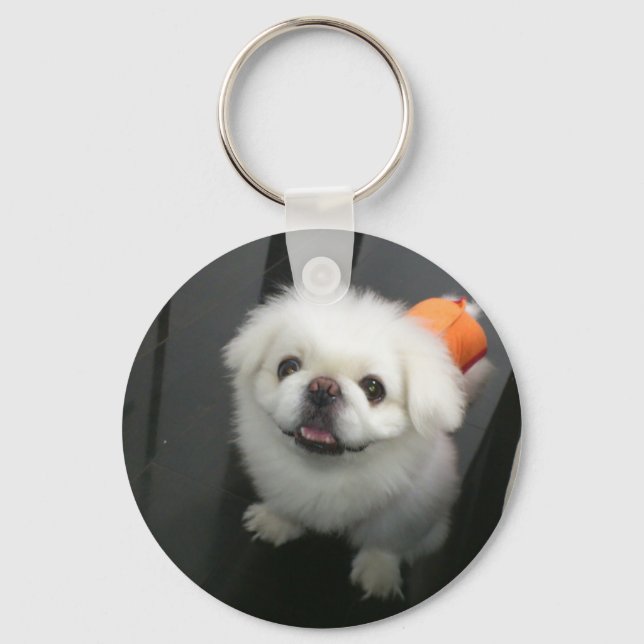 Chaveiro Cachorro Shih Tzu fofo olhando para a câmera (Frente)