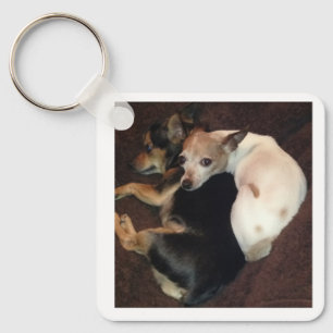 Chaveiro Cachorros e Arte