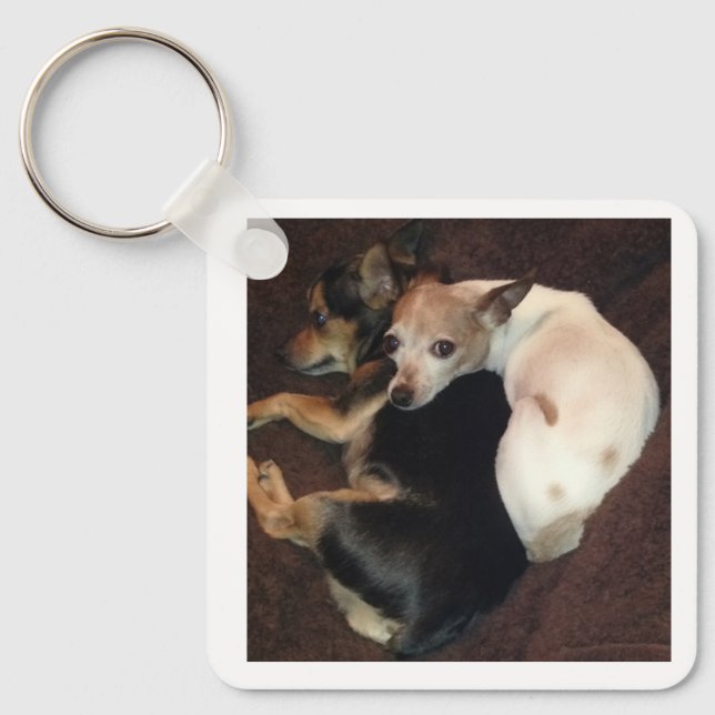 Chaveiro Cachorros e Arte (Frente)