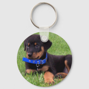 Chaveiro cachorros podres.