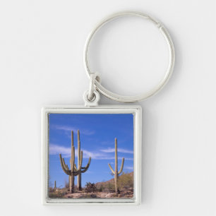 Chaveiro Cacto Saguaro gigante multi braçado, Saguaro