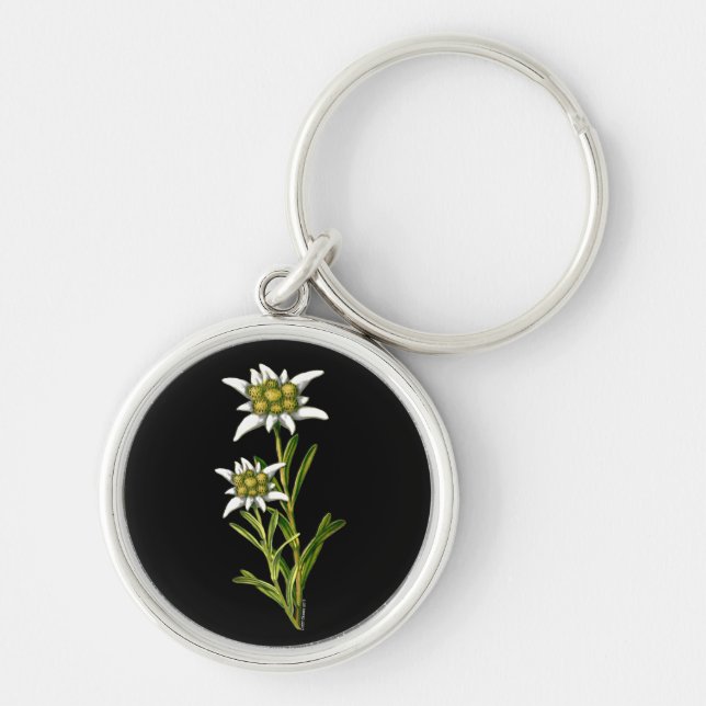 Chaveiro Cadeia-Chave das Flores Elegante Edelweiss (Frente)