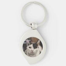 Cadeia de Chave de Cat