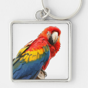 Chaveiro Cadeia de Chave Macaw da Escarlet