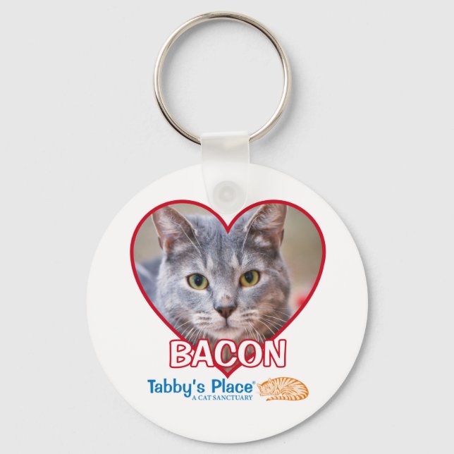 Chaveiro Cadeia de Chaves (Frente)