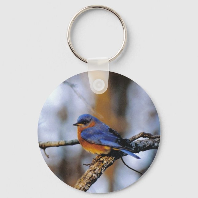 Chaveiro cadeia de chaves de Bird (Frente)