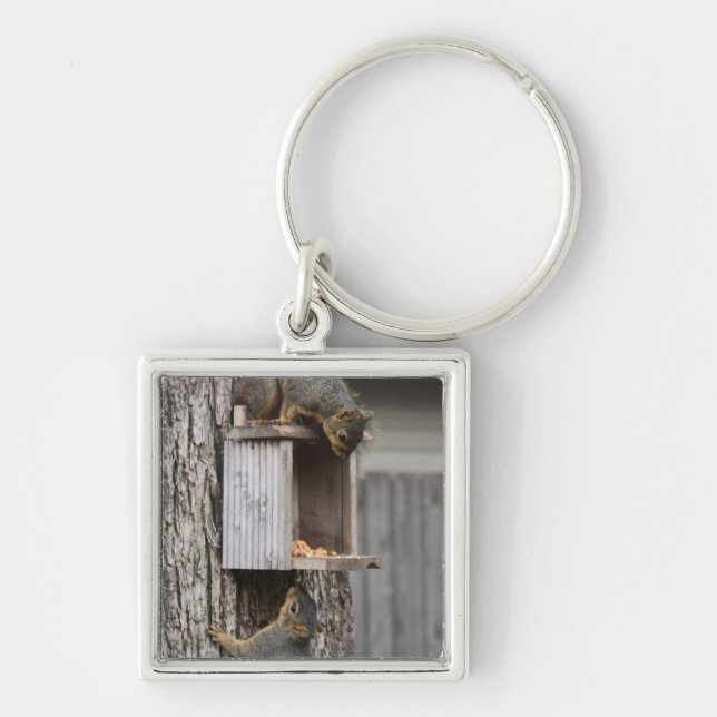 Chaveiro Cadeia de Chaves de Esquilo (Frente)