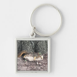 Chaveiro Cadeia de Chaves de Esquilo