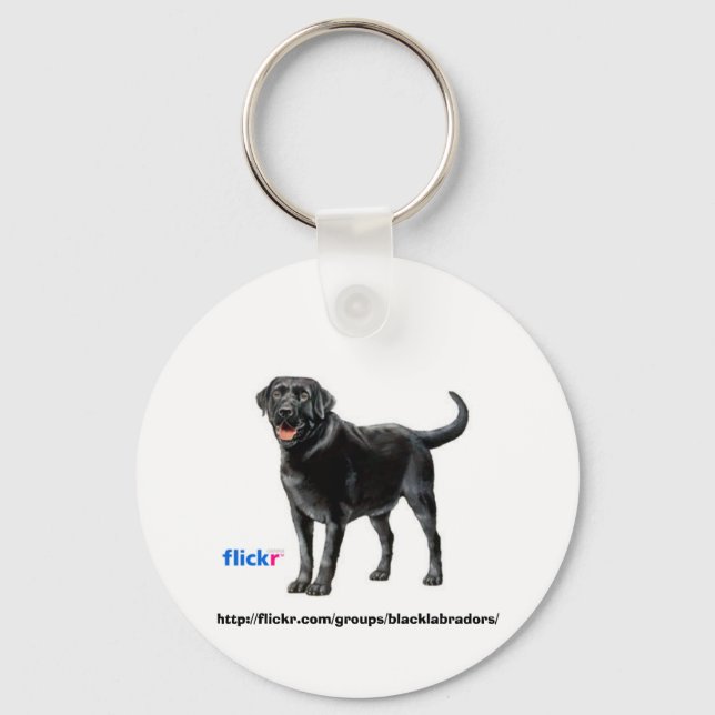 Chaveiro Cadeia de Chaves do Grupo Black Labs (Frente)