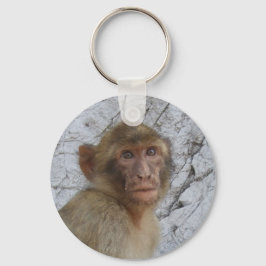 Chaveiro Cadeia de chaves do Macaco de Gibraltar, escolha o